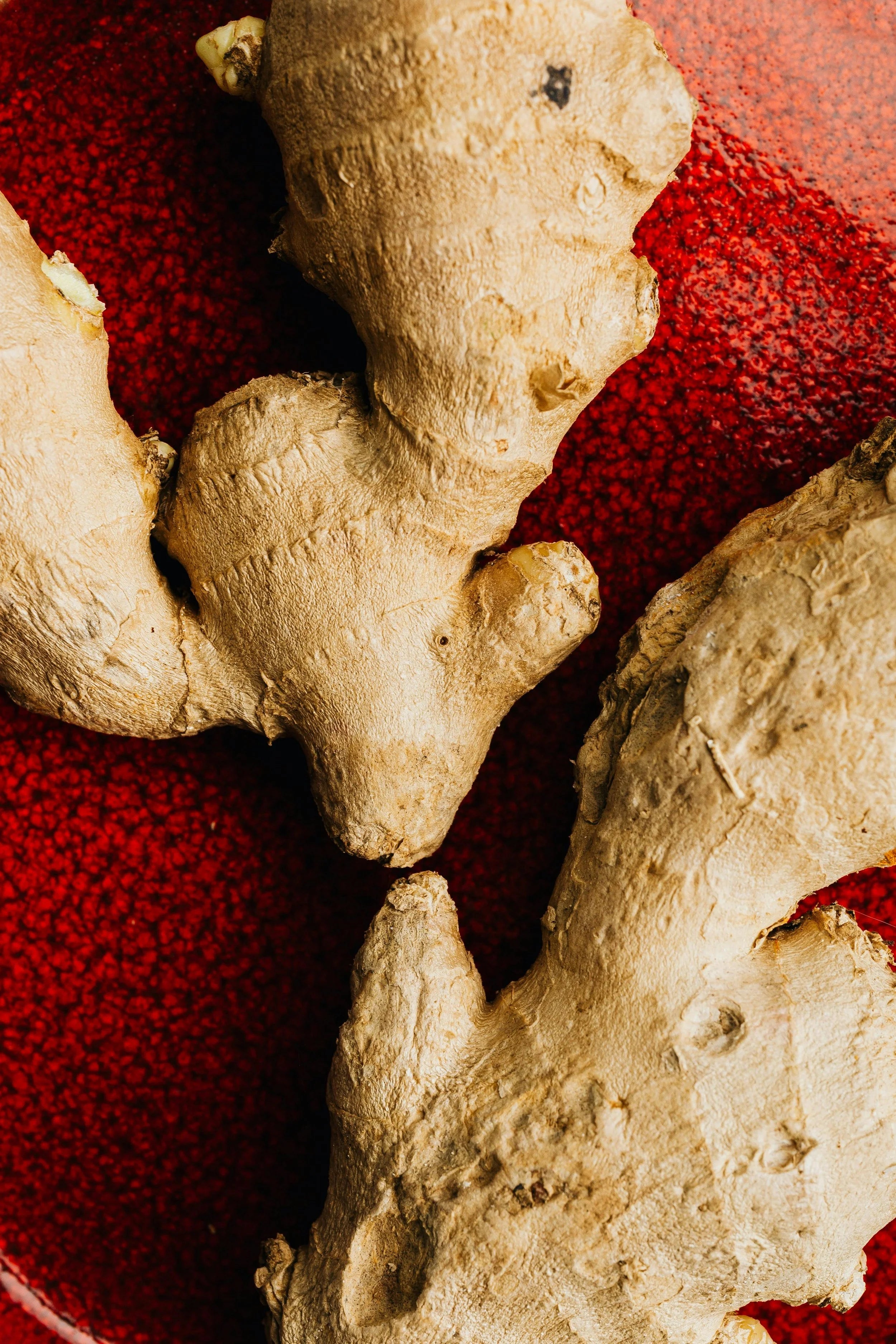 Close-up of fresh ginger roots on a red background